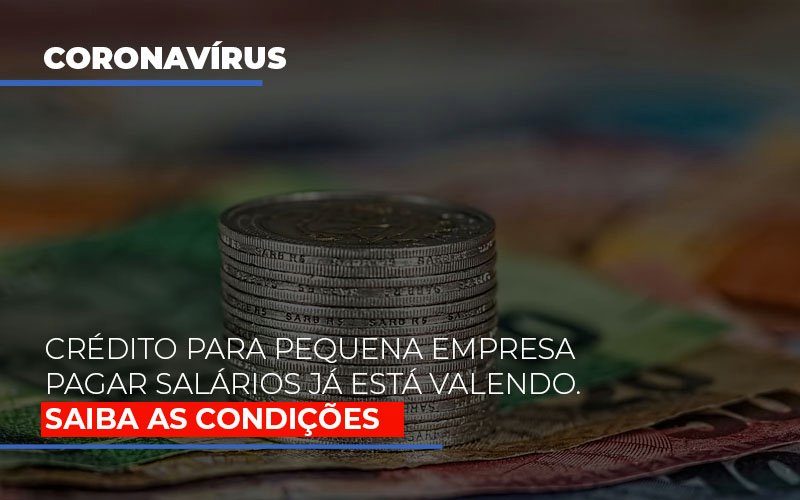 Credito Para Pequena Empresa Pagar Salarios Ja Esta Valendo - Contabilidade em Lauro de Freitas | BM Cont