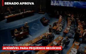 Senado Aprova Programa De Credito Mais Acessivel Para Pequenos Negocios - Contabilidade em Lauro de Freitas | BM Cont