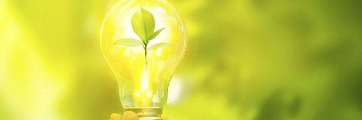 62126353 404185430428825 8002443964248489984 N - Contabilidade em Lauro de Freitas | BM Cont