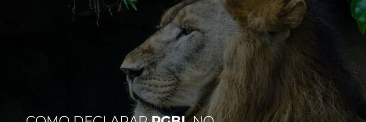 Ir2020:como Declarar Pgbl No Imposto De Renda - Contabilidade em Lauro de Freitas | BM Cont