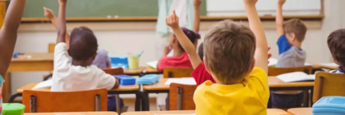 Saiba Como Funciona A Contabilidade Para Escola! - Contabilidade em Lauro de Freitas | BM Cont