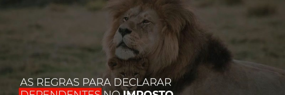 As Regras Para Declarar Dependentes No Imposto De Renda 2020 - Contabilidade em Lauro de Freitas | BM Cont