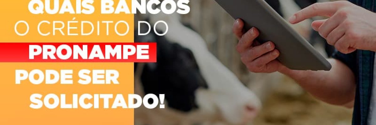Confira Em Quais Bancos O Credito Pronampe Ja Pode Ser Solicitado - Contabilidade em Lauro de Freitas | BM Cont