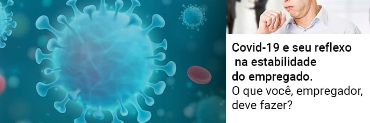 Covid 19 E Seu Reflexo Na Estabilidade Do Empregado O Que Voce Empregador Deve Fazer - Contabilidade em Lauro de Freitas | BM Cont