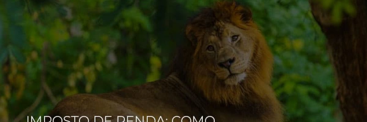 Imposto De Renda Como Solicitar Isencao Do Ir 2020 - Contabilidade em Lauro de Freitas | BM Cont