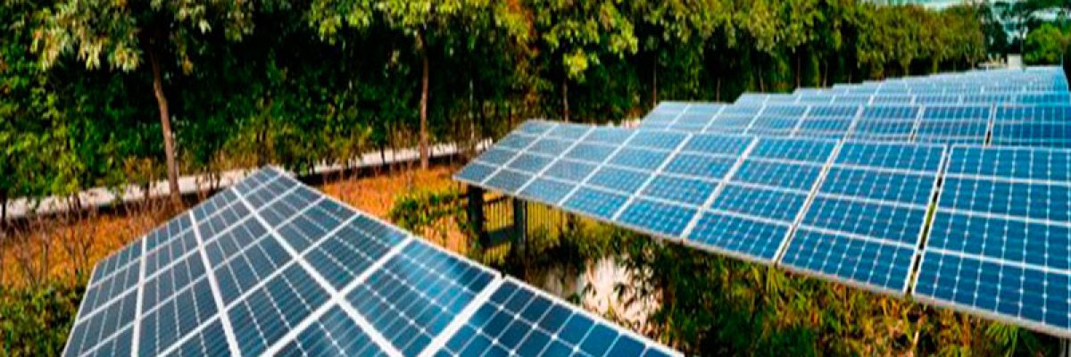 Sustentabilidade Empresarial2 - Contabilidade em Lauro de Freitas | BM Cont